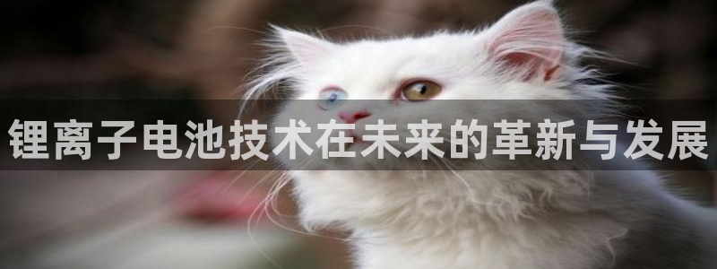 usdt转账需要矿工费