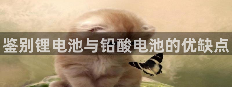 usdtapp官网下载