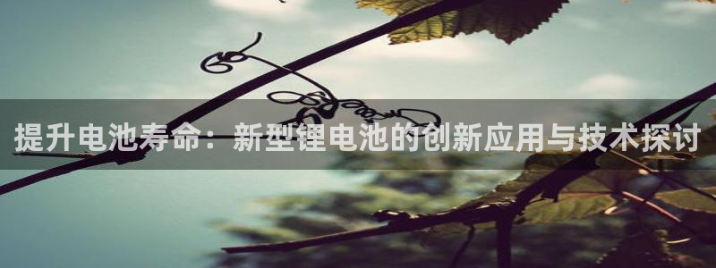 usdt钱包对接api：提升电池寿命：新型锂电池的创新应用与技术探讨