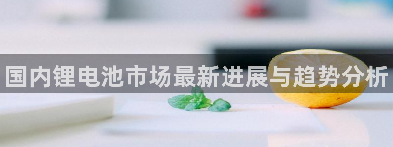 usdt地址能查到别人吗：国内锂电池市场最新进展与趋势分析