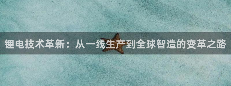 usdt地址在哪：锂电技术革新：从一线生产到全球智造的变革之路