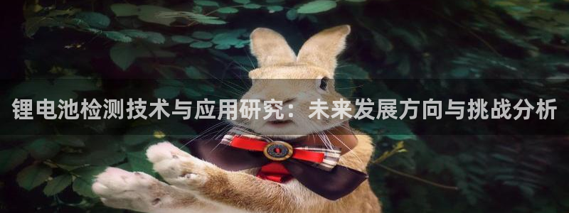 usdt怎么扫码：锂电池检测技术与应用研究：未来发展方向与挑战分析