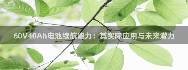 USDT官方钱包：60V40Ah电池续航能力：其实际应用与未来潜力