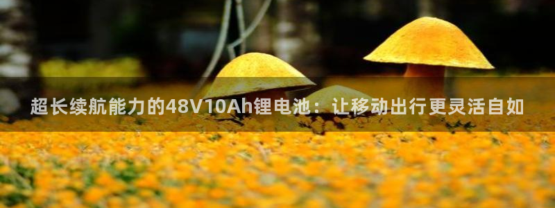 usdt货币下载：超长续航能力的48V10Ah锂电池：让移动出行更灵活自如