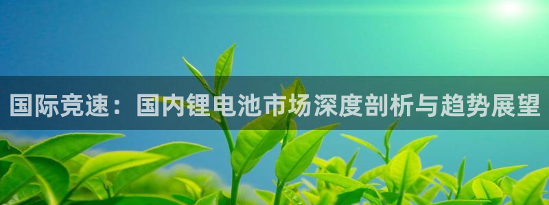 usd usdt：国际竞速：国内锂电池市场深度剖析与趋势展望