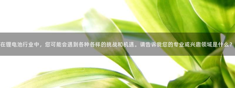 usdt下载苹果：在锂电池行业中，您可能会遇到各种各样的挑战和机遇。请告诉我您的专业或兴趣领域是什么？