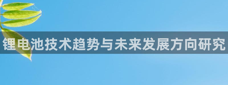 usdt和u：锂电池技术趋势与未来发展方向研究