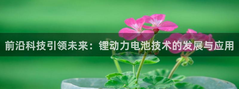 usdt怎么收款：前沿科技引领未来：锂动力电池技术的发展与应用