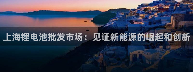 usdt b35533：上海锂电池批发市场：见证新能源的崛起和创新