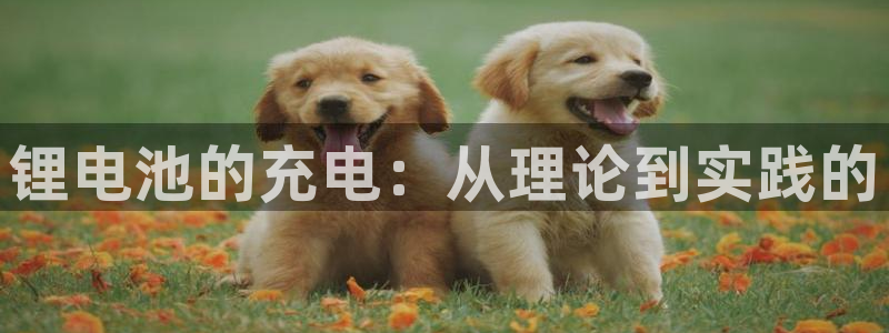 usdt钱包地址给别人：锂电池的充电：从理论到实践的