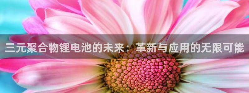 usdtpay：三元聚合物锂电池的未来：革新与应用的无限可能