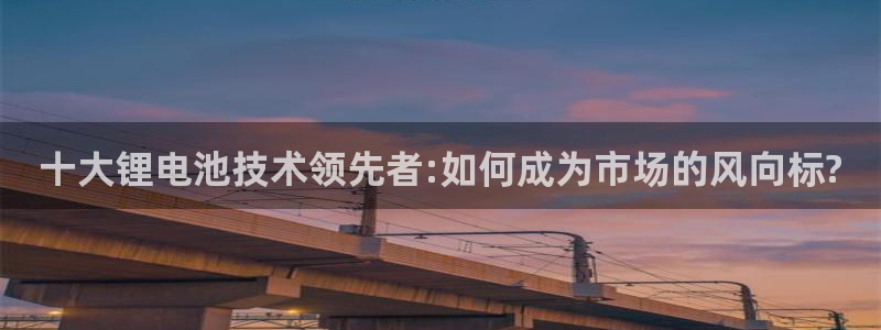 usdt交易平台有资金限制吗：十大锂电池技术领先者:如何成为市场的风向标?