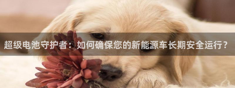 usdt下载什么软件：超级电池守护者：如何确保您的新能源车长期安全运行？