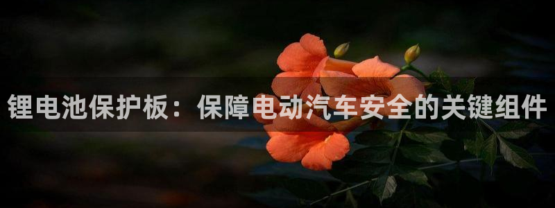 usdt变少