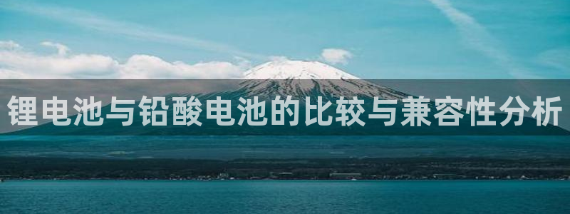 usdt交易中心：锂电池与铅酸电池的比较与兼容性分析