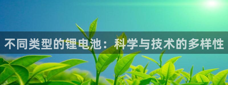 usdt账号怎么弄：不同类型的锂电池：科学与技术的多样性