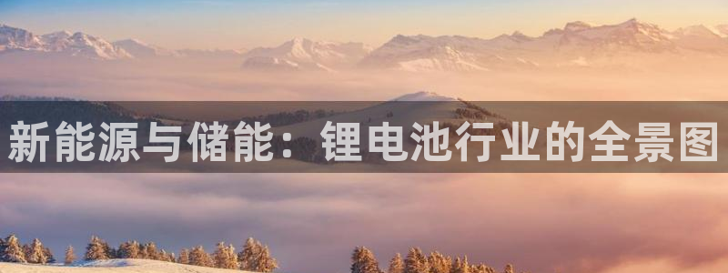 usdt钱包app下载：新能源与储能：锂电池行业的全景图