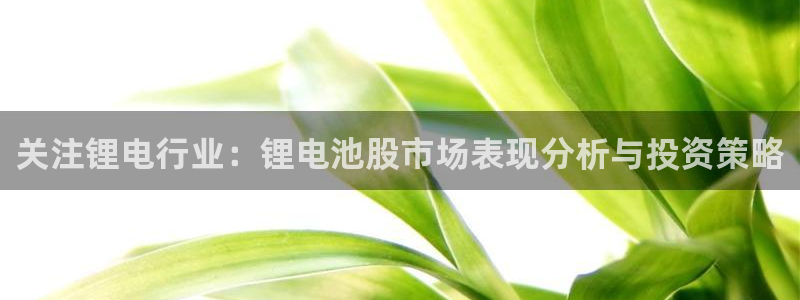 注册送usdt币：关注锂电行业：锂电池股市场表现分析与投资策略
