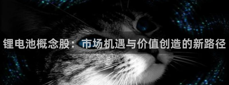 usdt的地址：锂电池概念股：市场机遇与价值创造的新路径