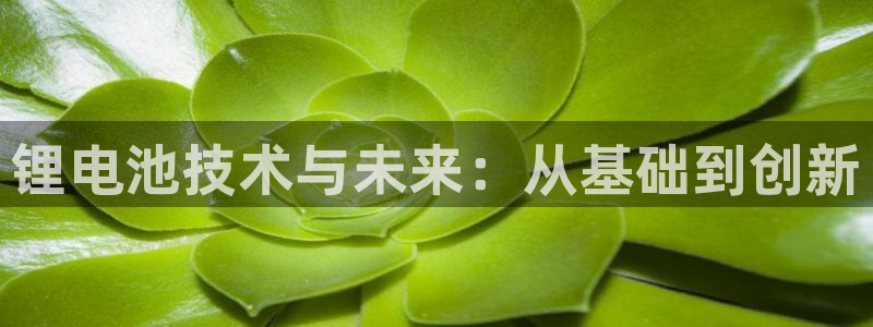 usdt钱包转账手续费：锂电池技术与未来：从基础到创新