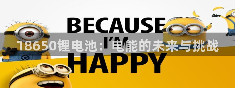 usdt账户冻结：18650锂电池：电能的未来与挑战