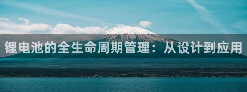 usdt汇款：锂电池的全生命周期管理：从设计到应用