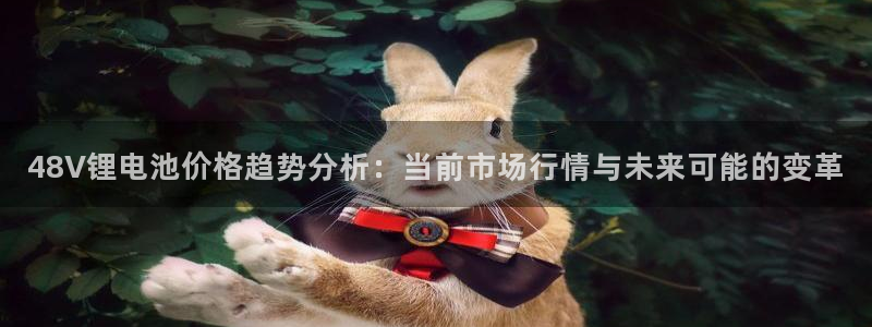 查看usdt交易记录：48V锂电池价格趋势分析：当前市场行情与未来可能的变革