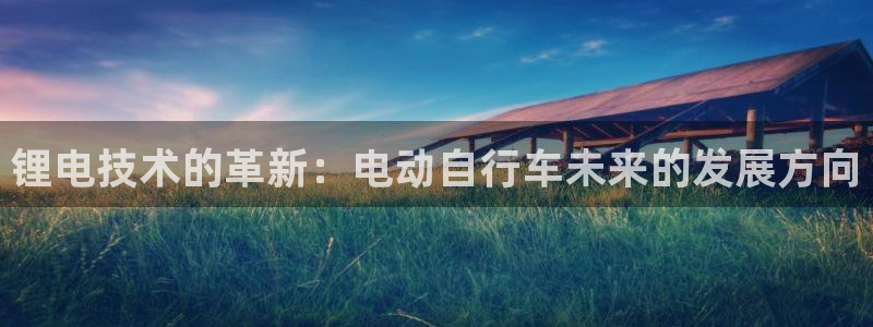 usdt钱包官方下载华为手机：锂电技术的革新：电动自行车未来的发展方向