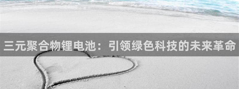 usdt钱包网：三元聚合物锂电池：引领绿色科技的未来革命